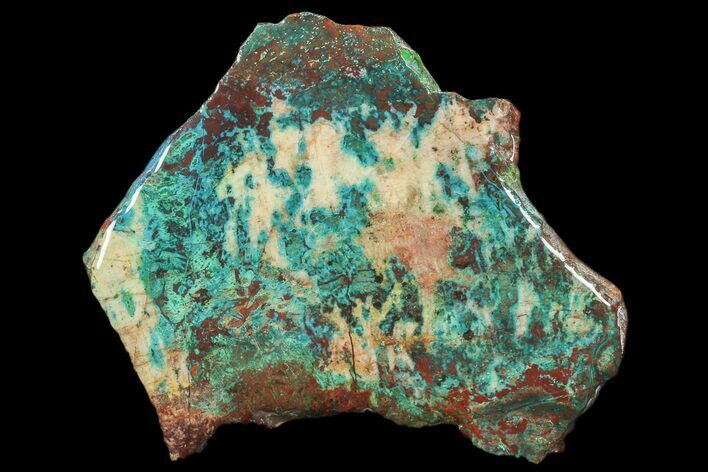 Chrysocolla & Malachite Slab From Arizona - Clear Coated #119748